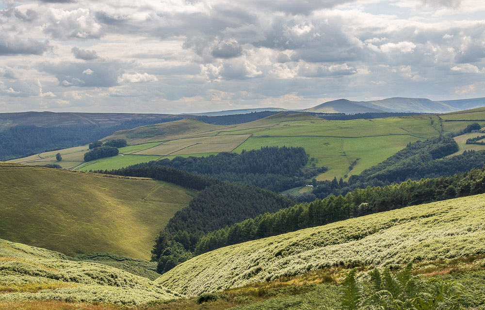 Lose Hill